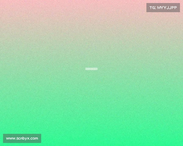 四川男排比赛视频