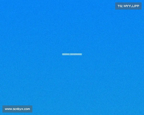 国际男排赛事;国际男排赛事实施方案